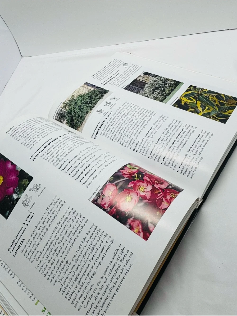 Better Homes And Gardens Annual Recipes Stack - White with Multicolor Titles